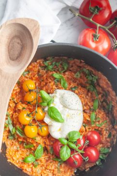 Tomatenrijst met burrata